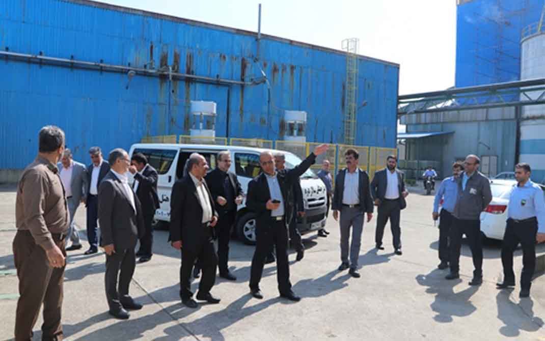 مجموعه چوب و کاغذ مازندران