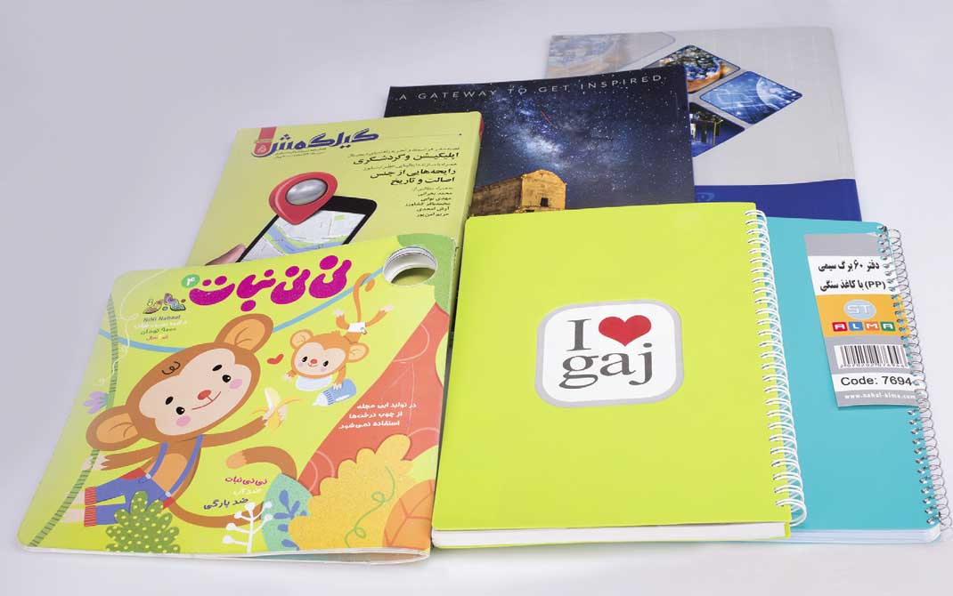 شرکت صنعت و تجارت گستر اطلس ایرانیان