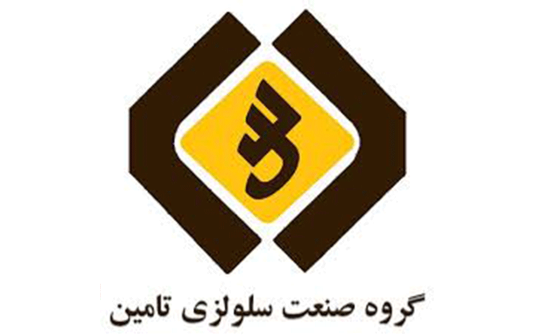 پروژه کاغذ سازی بیستون تامین
