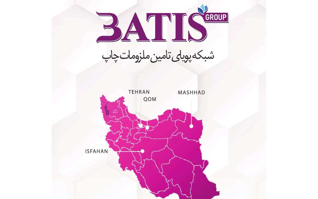 گروه بازرگانی باتیس