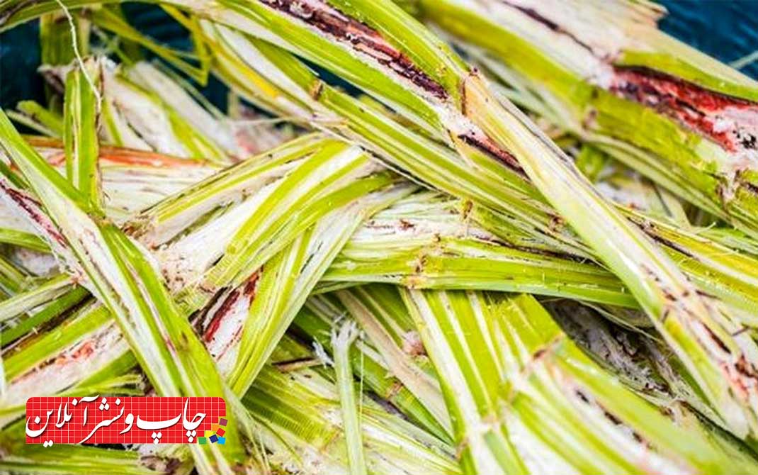 پسماندهای کشاورزی